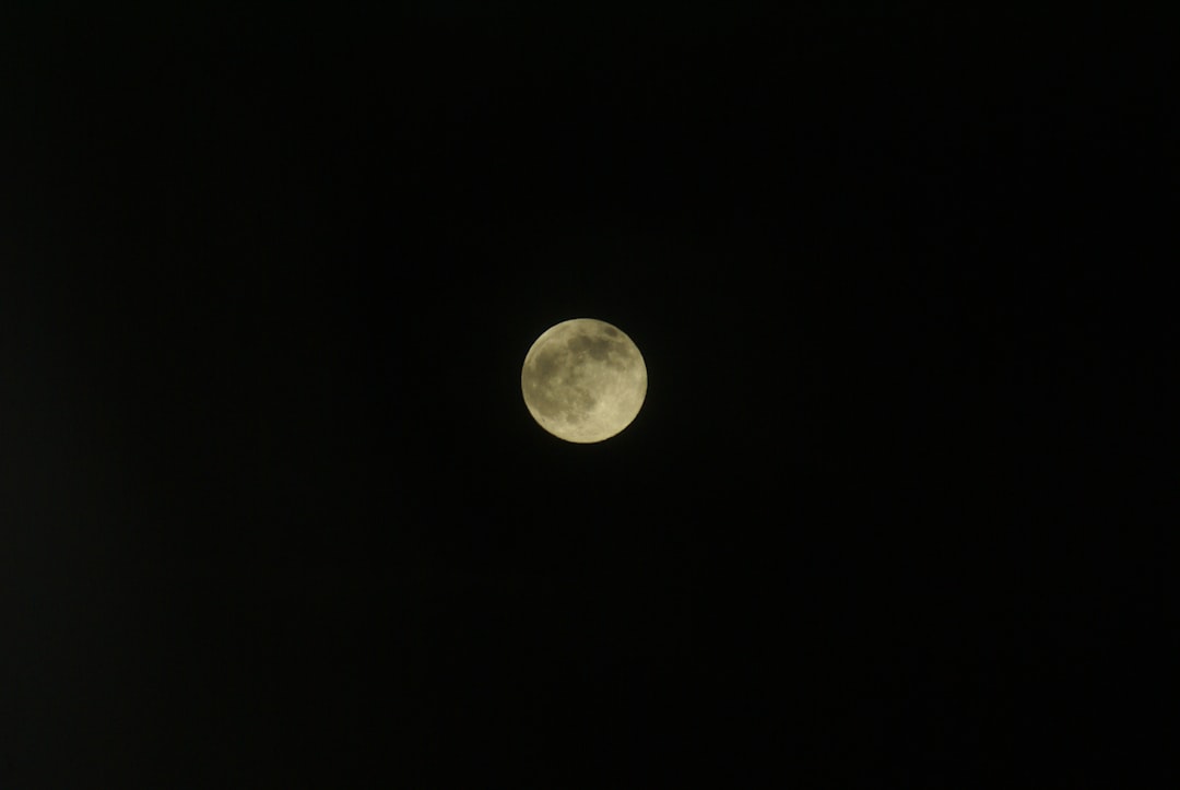 Moonlight