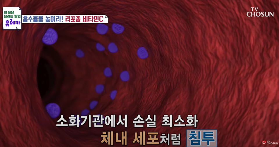 체내 세포처럼 침투하는 리포좀 비타민C
