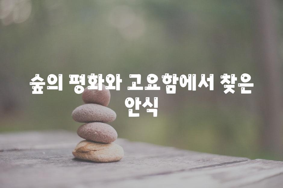 숲의 평화와 고요함에서 찾은 안식