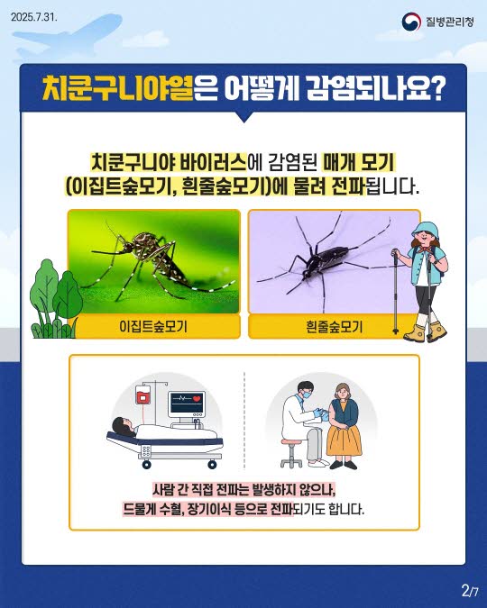 치쿤구니야열 증상부터 예방법까지