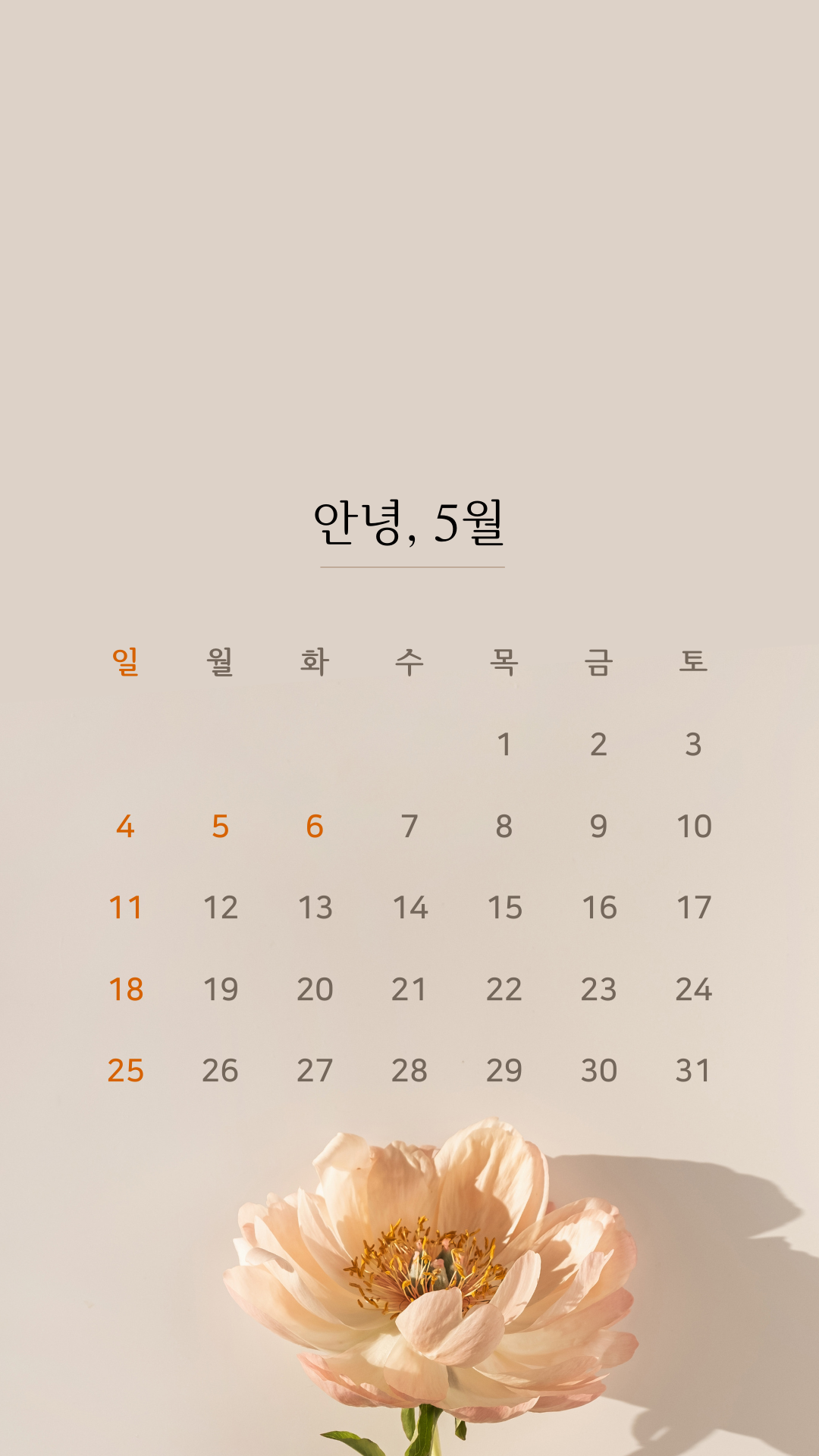 2025년 5월 달력 스마트폰 배경화면 이미지 그림 사진 모음