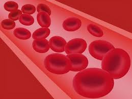 혈소판 수치 올리는 방법