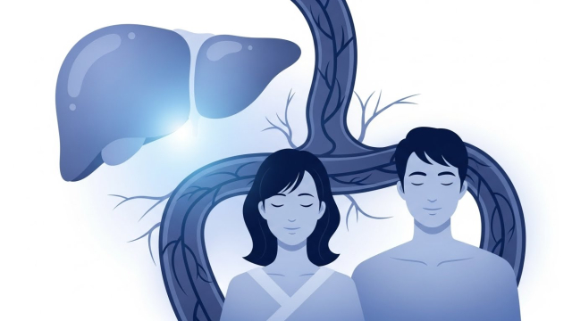 알부민 효능, 혈액·간 개념 이미지