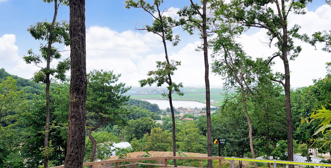 경기-인천-아르보리아-사르데냐-캠핑장-예약-방법-애견-동반-가격-주소-시간-후기