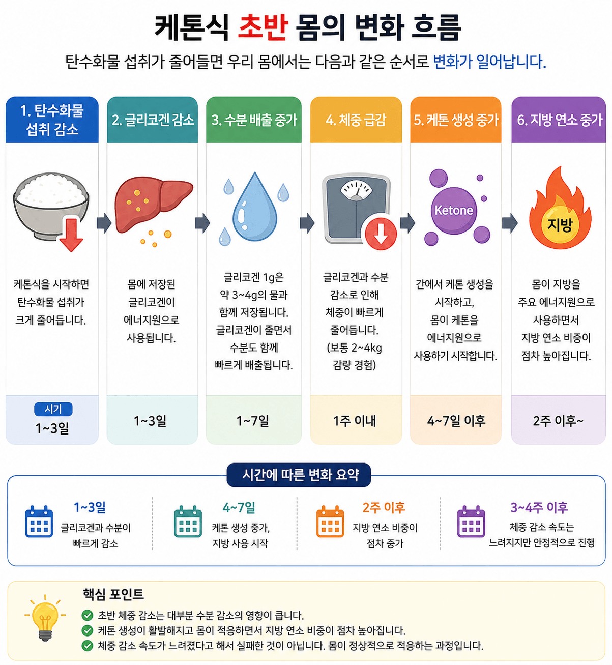 케톤식 초반 체중이 빨리 빠지는 이유