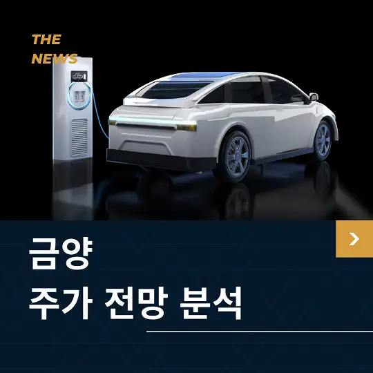 금양 주가 전망 및 분석