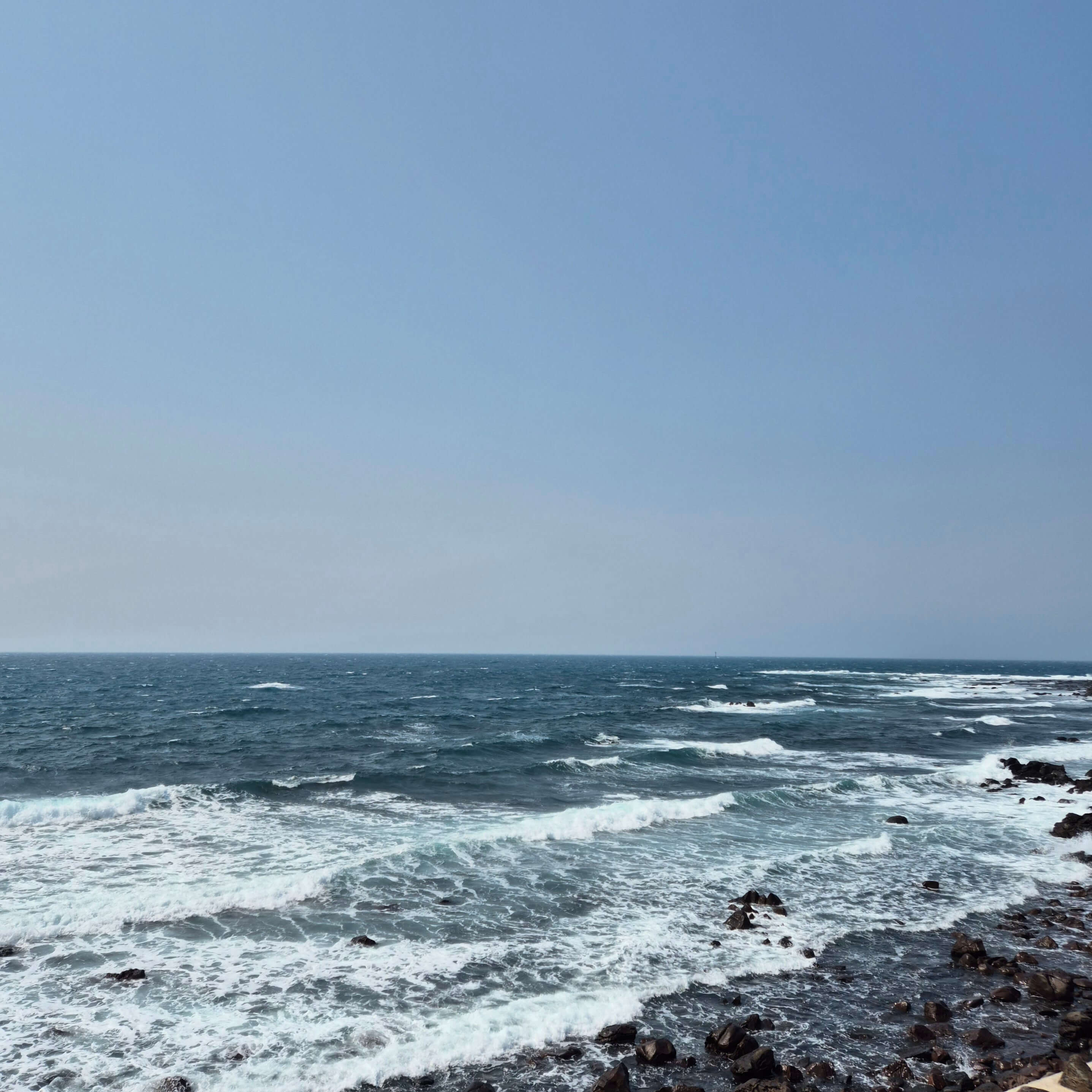 다발성 경화증 증상