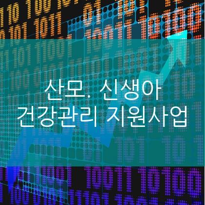 산모. 신생아 건강관리 지원사업