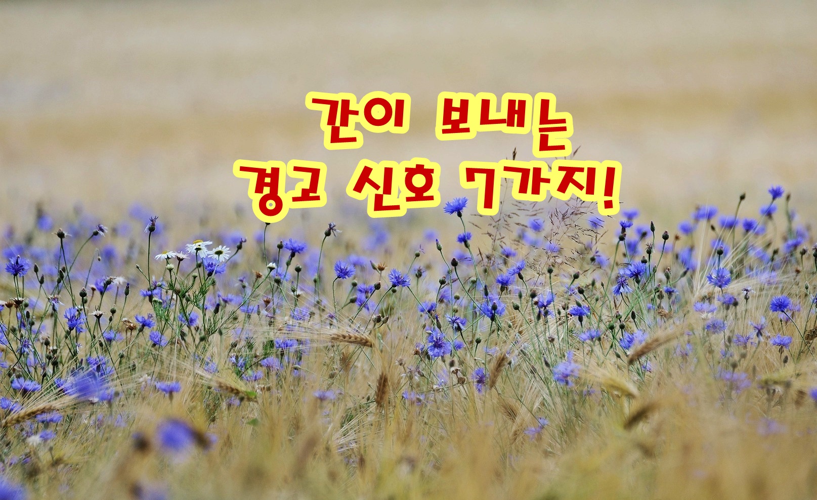 간이 보내는 경고 신호 7가지!