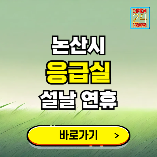 논산시 설날 연휴 비상진료 응급실 병원 찾기 ❘ 내근처 24시 야간 심야 휴일 가능한 곳