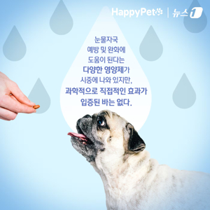 강아지 눈물 냄새