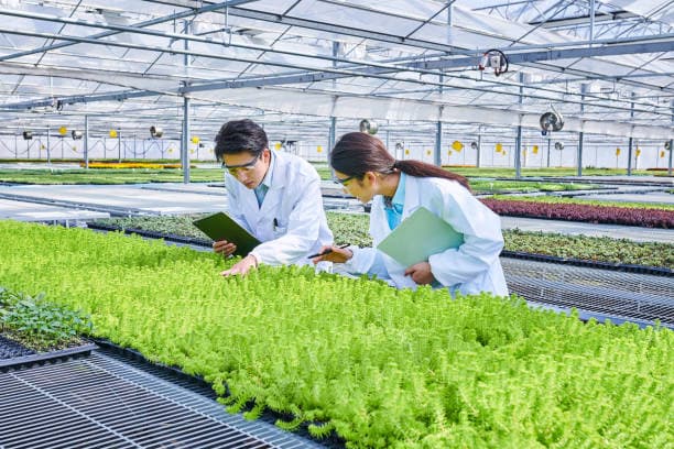 스마트 기술이 도시 농업에 가져온 혁신적인 변화