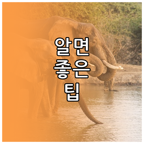 교통비 부담 끝! 대전 청년 지원금 ..