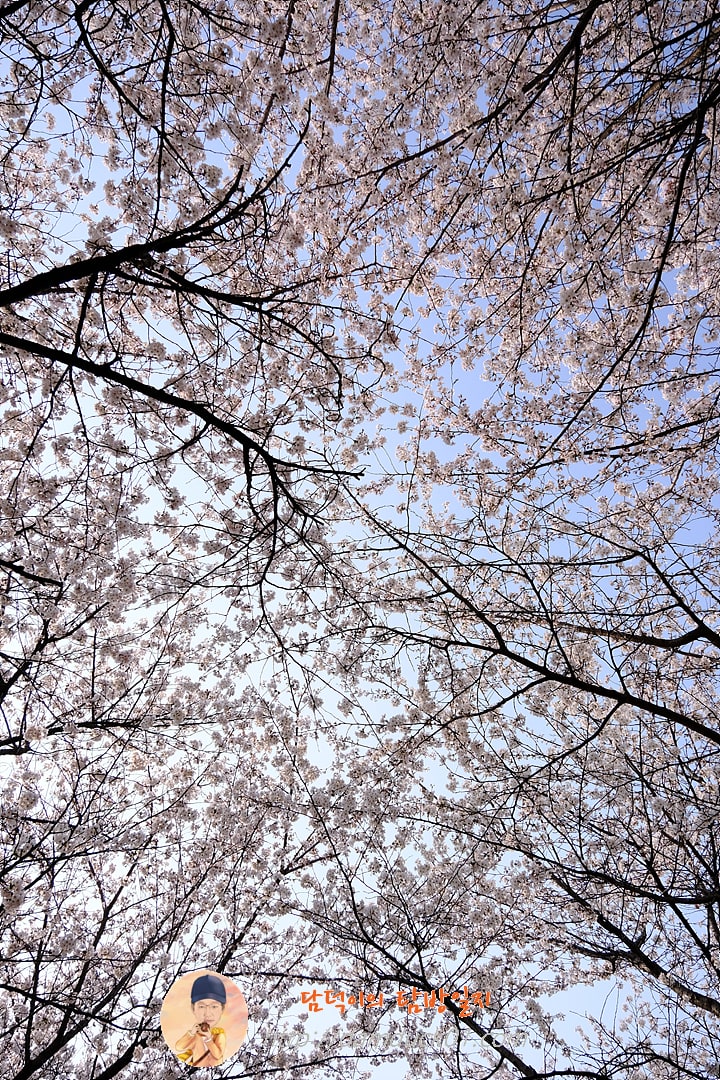 황구지천