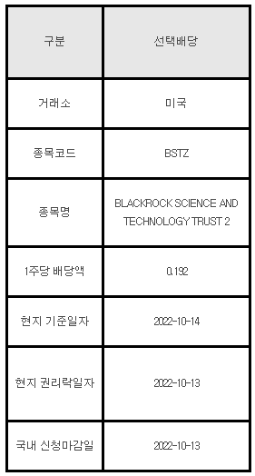 미국주식 선택배당 안내 BSTZ