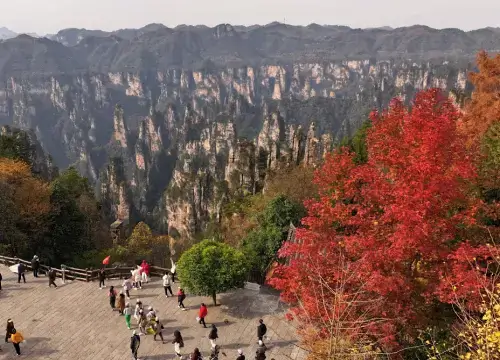 웅장한-봉우리와-단풍이-물든-장가계-가을-풍경