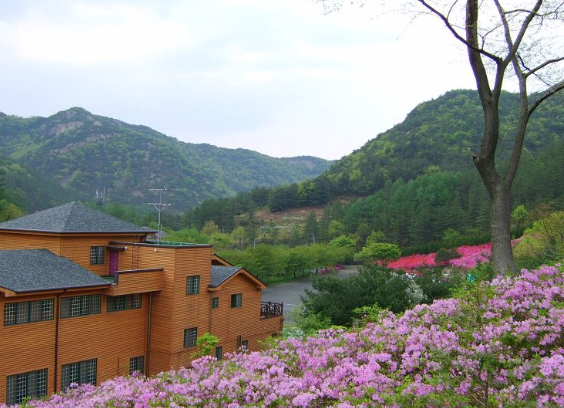 고산자연휴양림