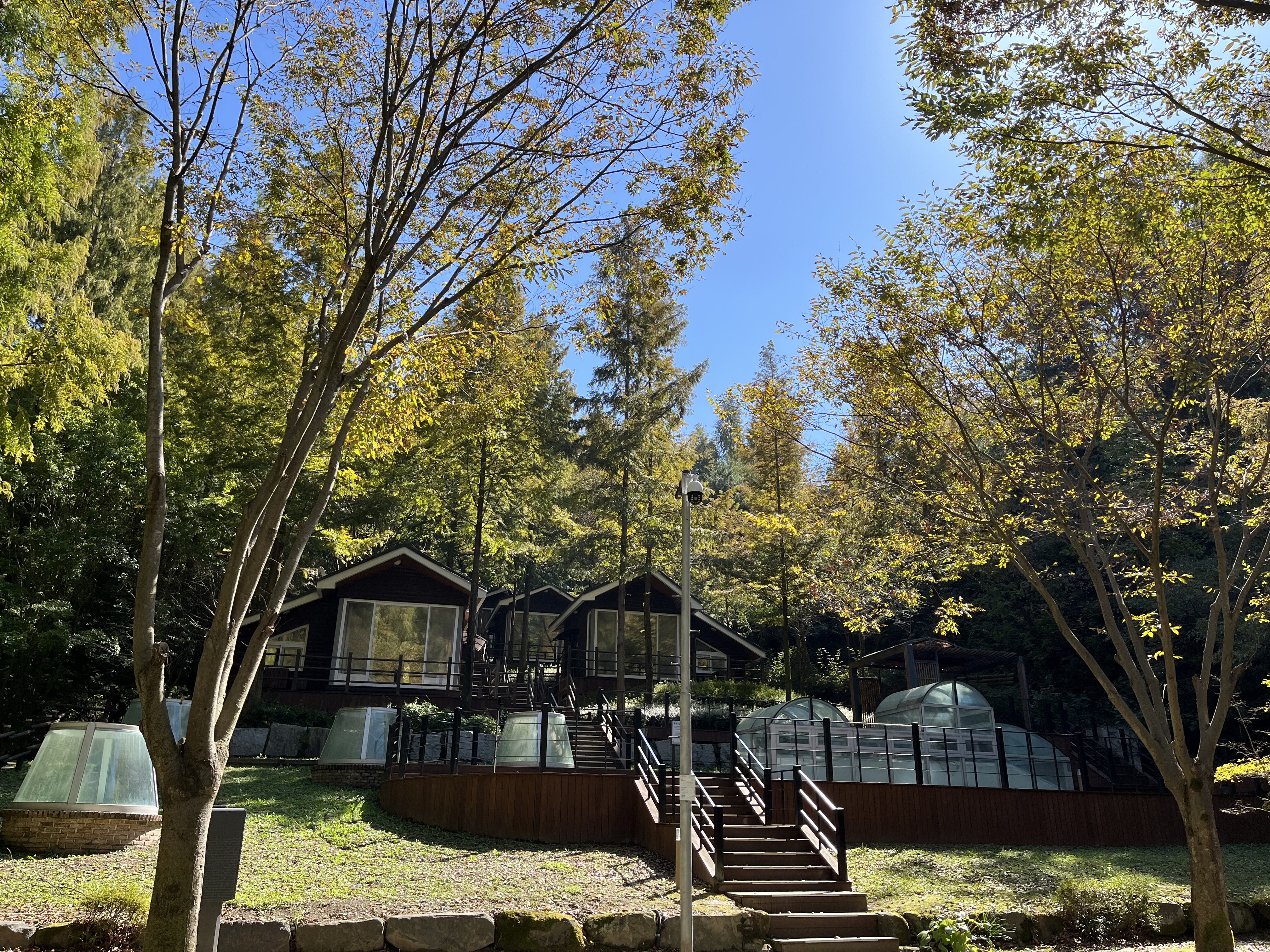 장태산 자연휴양림