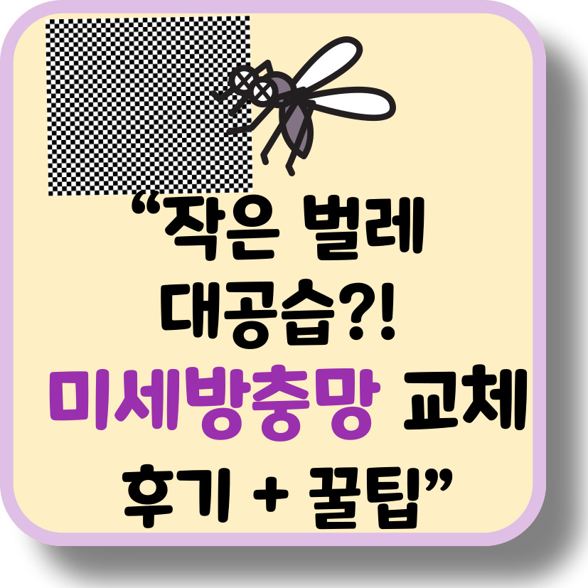 방충망 구멍으로 들어온 벌레들! 미세방충망 교체 후기 + 숨고 견적 비교 팁