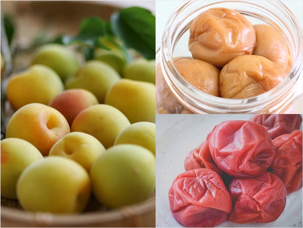 매실 액기스 효능