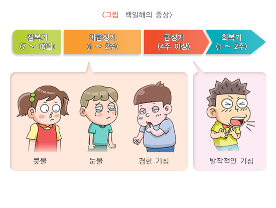 백일해 예방접종의 필요성