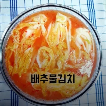배추물김치 담그는 황금레시피와 알배추 손질법 소개_7