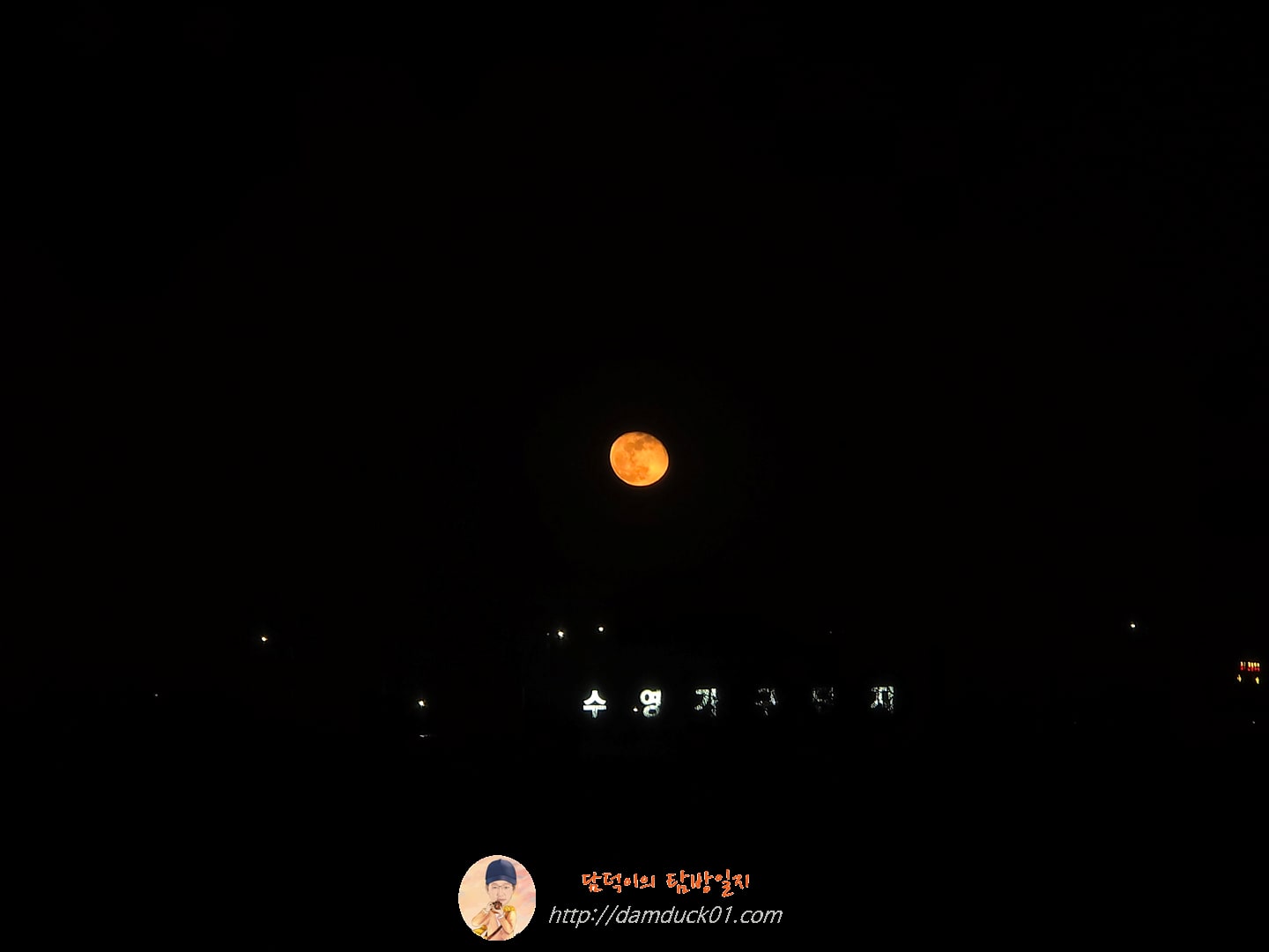 갤럭시 S24 울트라 프로 모드 촬영