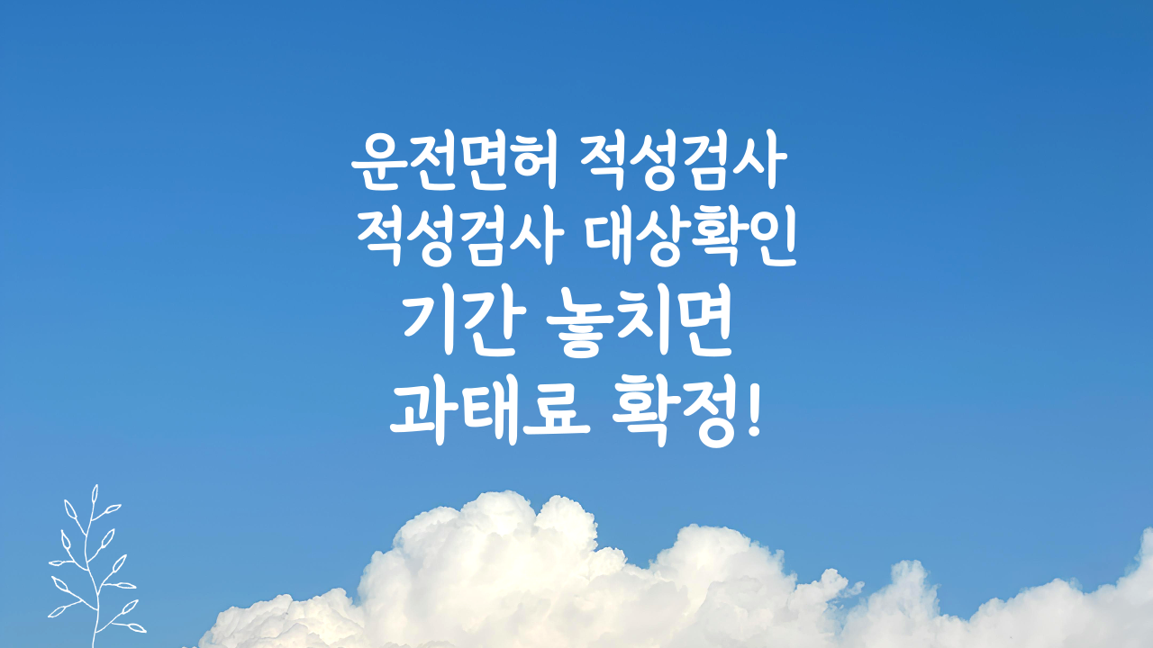 운전면허 적성검사 신체검사