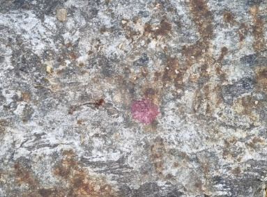 토지 측량 경계점 표시 방법