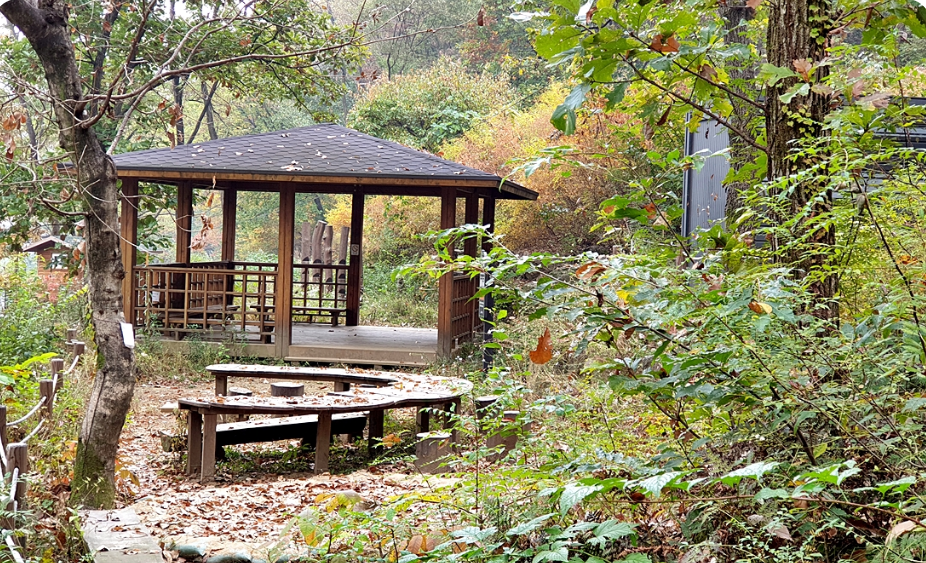 제20회 광릉숲축제 2025 완전 가이드 - 1년에 단 한 번 열리는 신비의 유네스코 숲