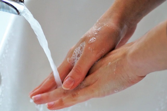 새 질병 인도 어린이들에 퍼진 토마토 독감 증상 및 원인, 예방법