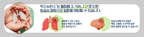 PCV15, 박스뉴반스의 등장