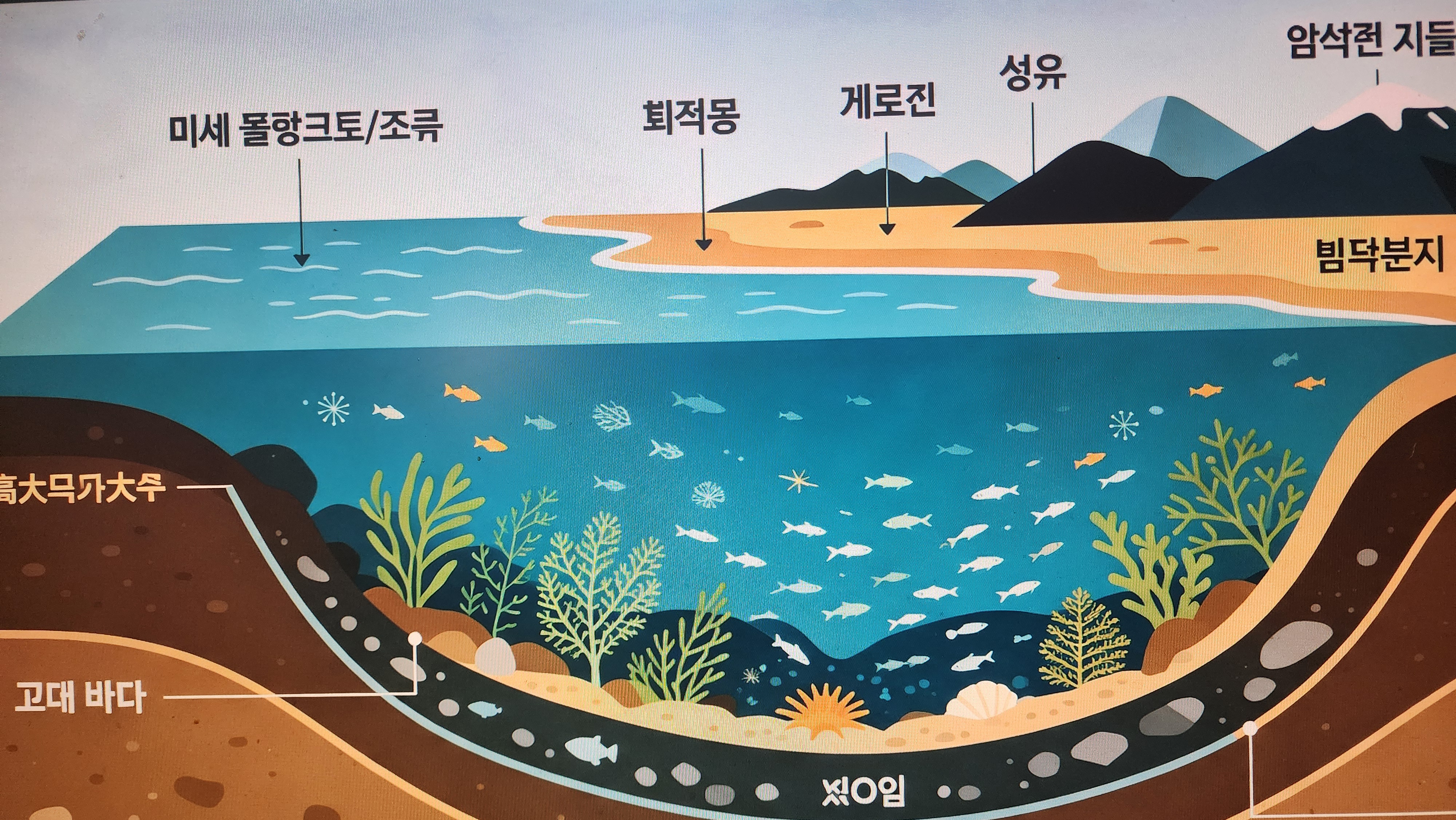 석유의원료