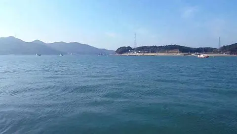 대난지도