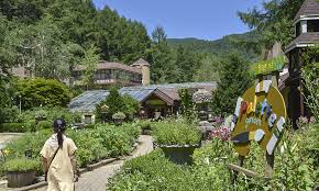 평창 허브나라 농원 1