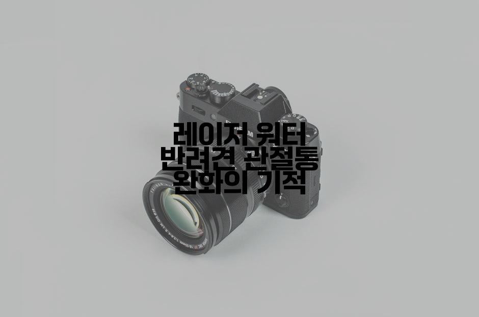 레이저 워터 반려견 관절통 완화의 기적