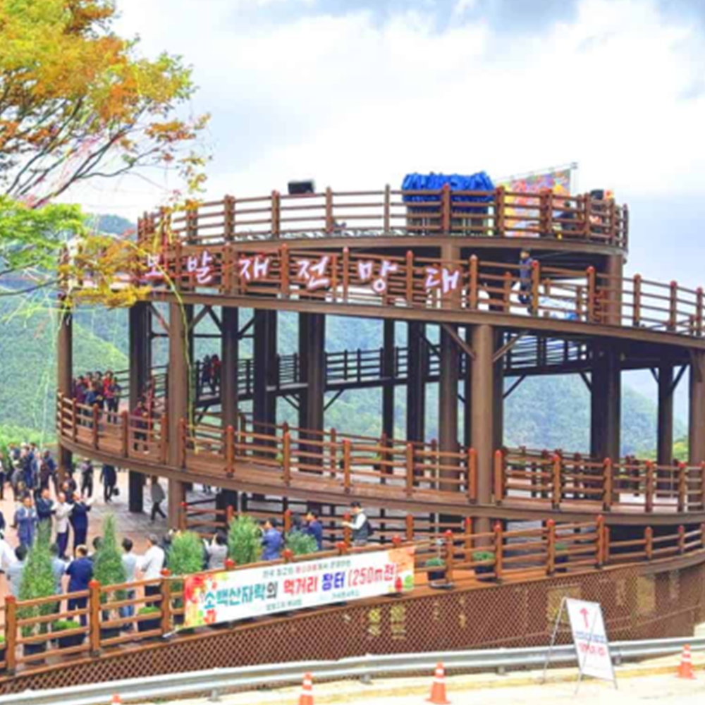 단양 보발재 단풍시기