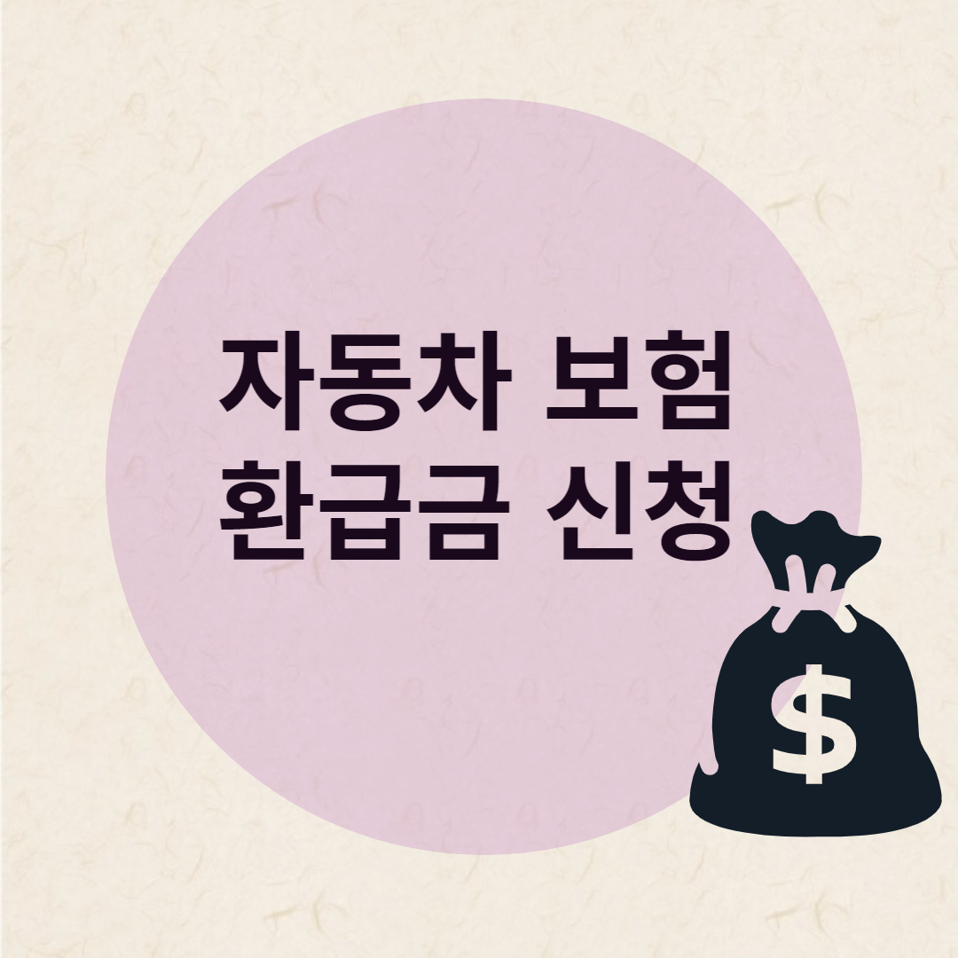 자동차보험 특약 환급금 확인