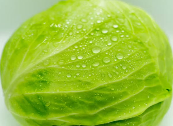 공복에 좋은 음식