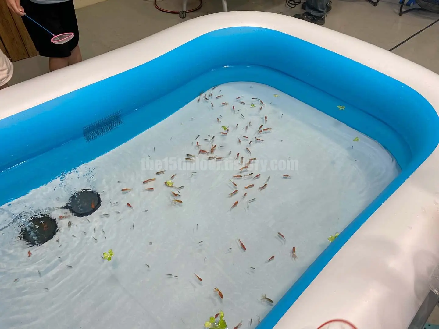 경남 의령 &amp;#39;의령 곤충생태학습관&amp;#39; (외부 체험장 &amp;#39;물고기 잡기&amp;#39;) 