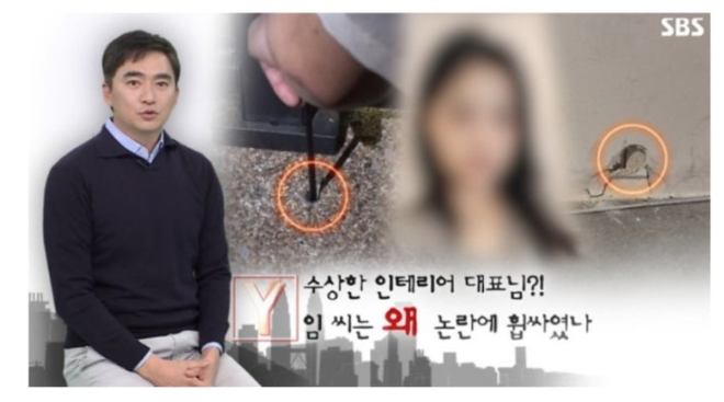 보도자료