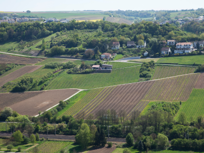 2025년 제21대 대통령 선거 사전투표 일정 참여 방법