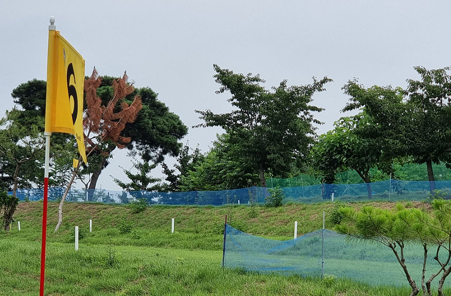 경상북도 경산 일월파크골프장 (일월 피닉스파크골프클럽) 소개