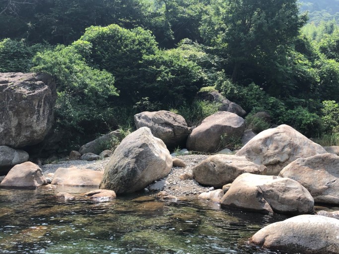 하동 쌍계사계곡