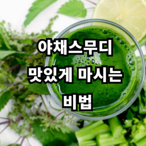 야채스무디 맛있게 마시는 비법