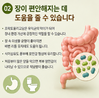 야콘 효능 "의외로 모르고 먹는다..." 혈당 관리 장건강 다이어트 효과 부작용까지 전부알려드림3