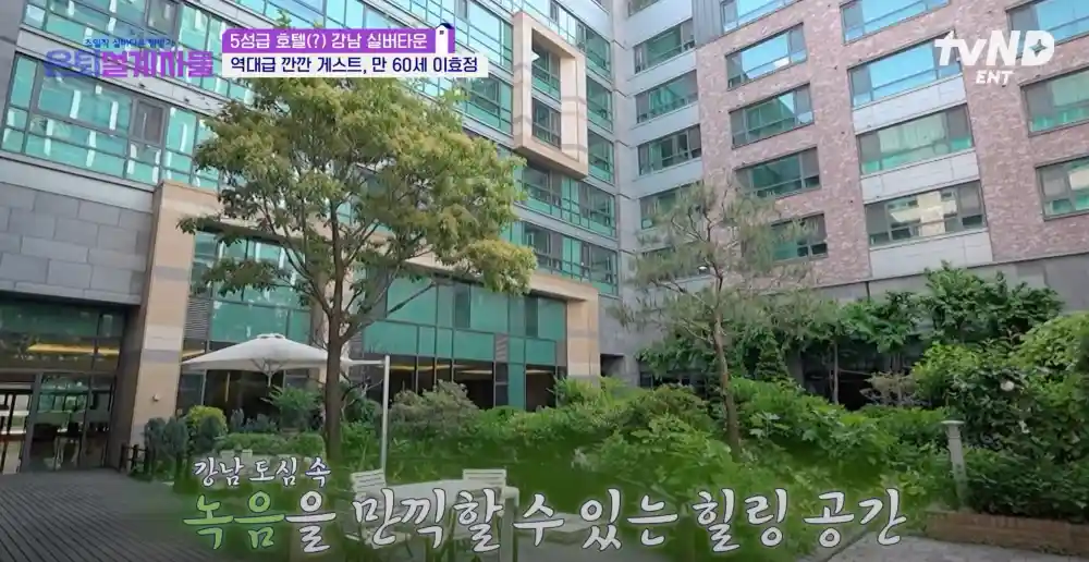 자연이 깃든 공간