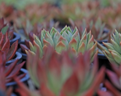 용인 가볼만한곳 이미지 입니다.