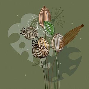 세계에서 가장 비싼 희귀 식물 TOP 5