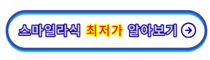 스마일라식-비용
